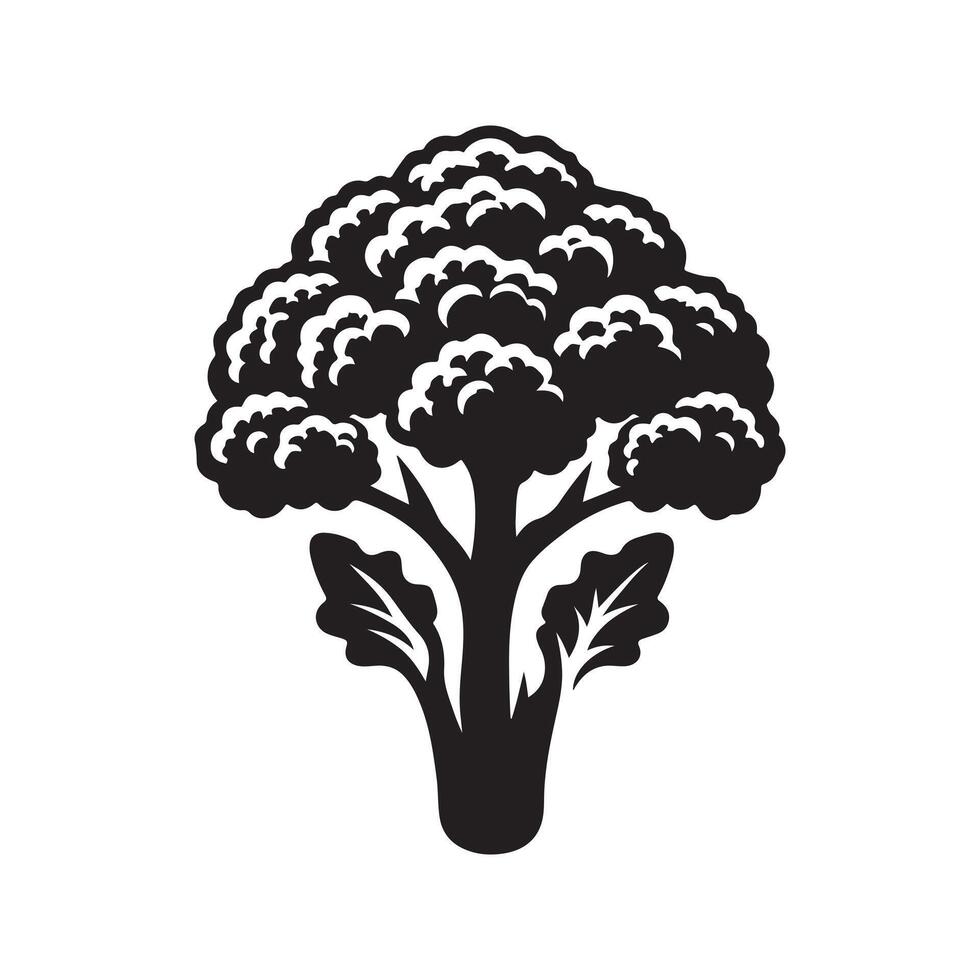Simple coliflower icon silhouette vector