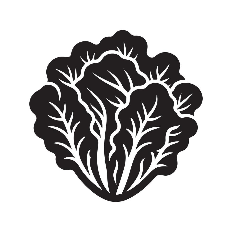 Lettuce plant silhouette vector