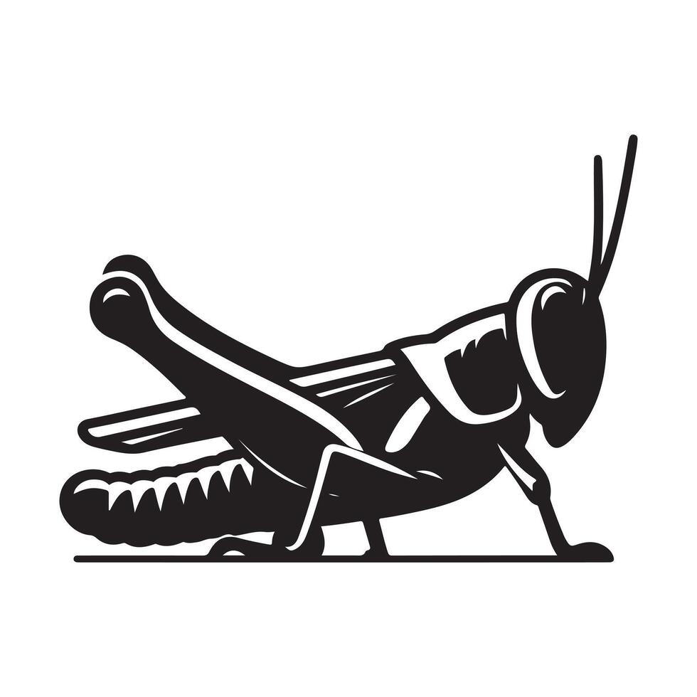 Black and white grasshopper vector