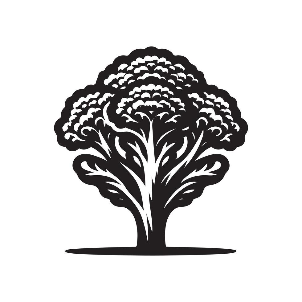 A minimalist coliflower silhouette vector