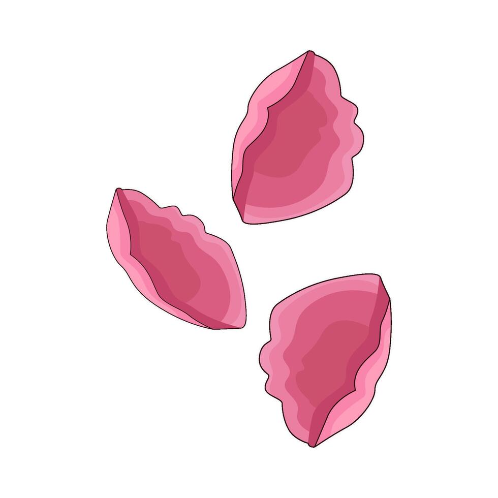 illustration of rose petal vector