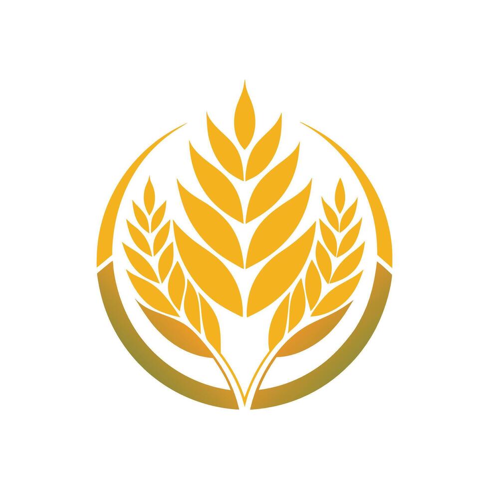 Hand drawn wheat collection vector