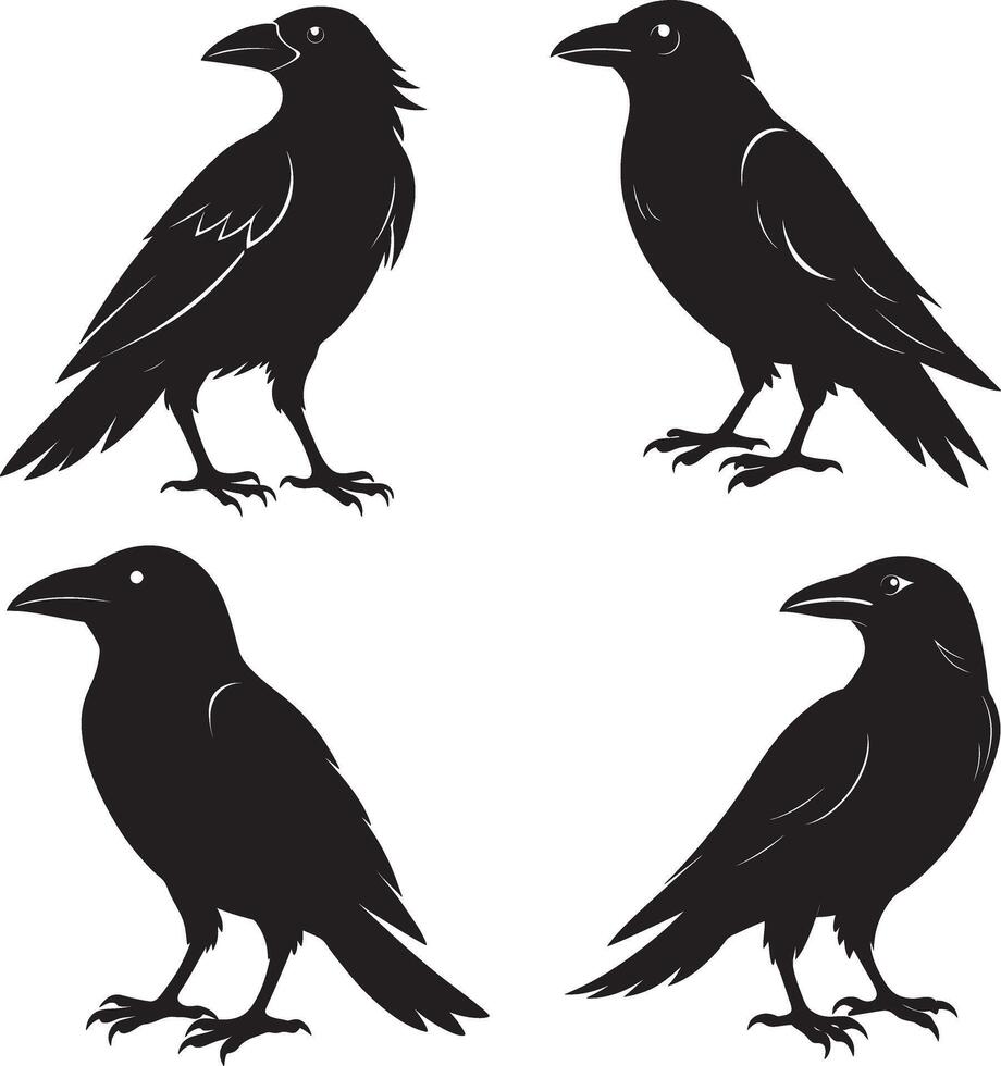 Elegant Black Crow Silhouette Design for Creative Projects and Artistic Expressions vector