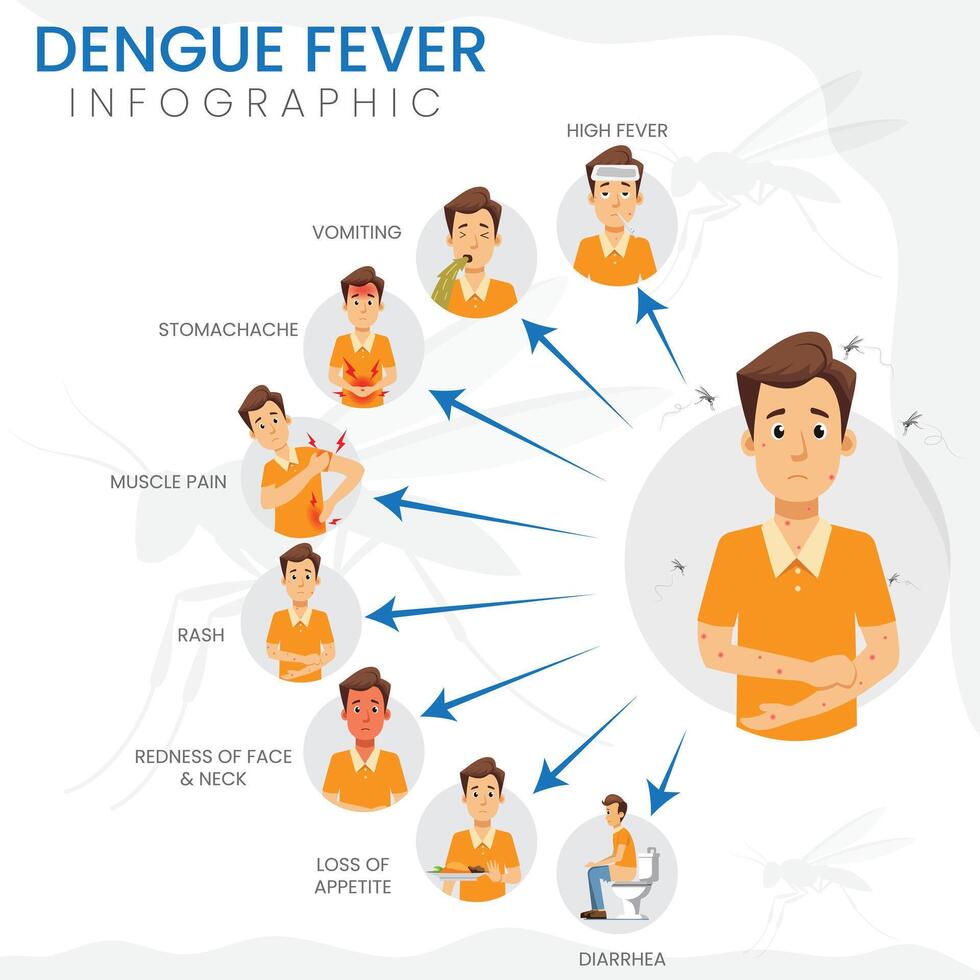 Dengue Fever Symptoms High Fever, Headache, Joint Pain, Rash, and Fatigue vector