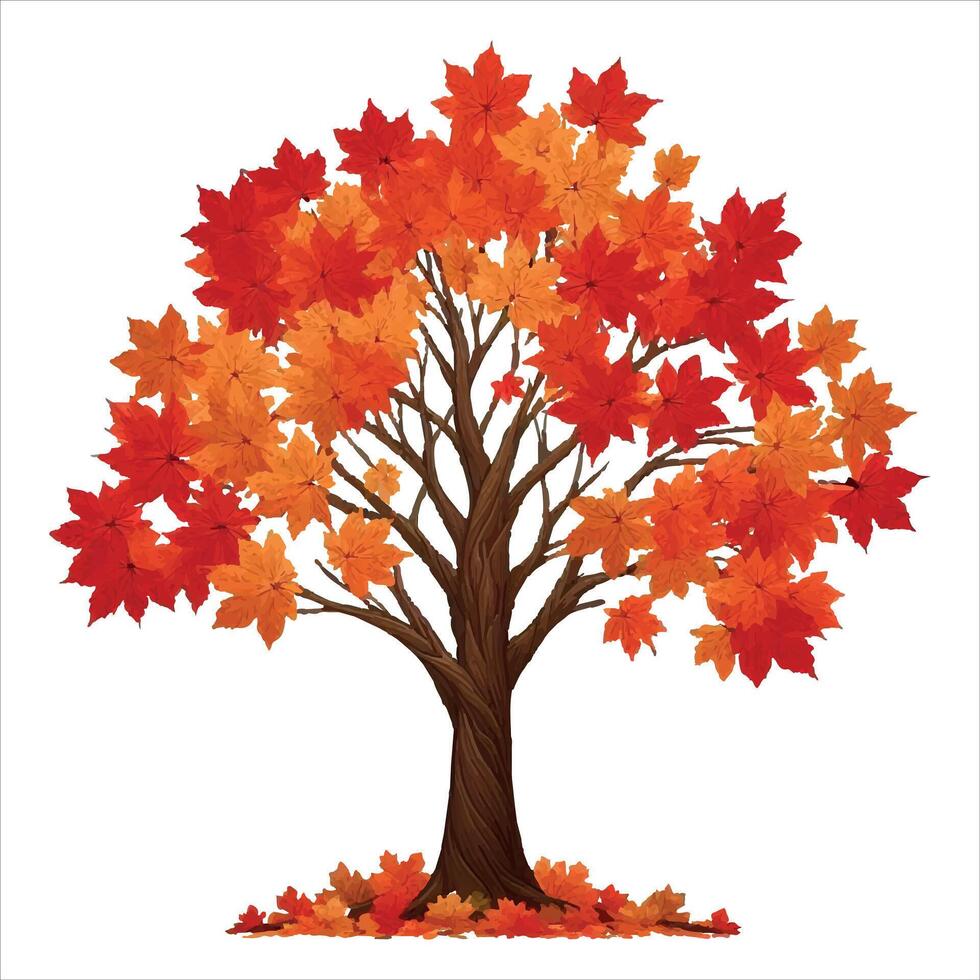 maple orange leaf tree illustration vector