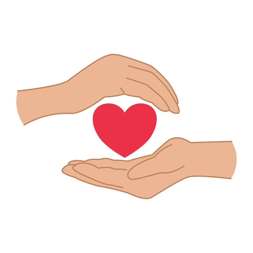 Hands holding red heart isolated on white background vector