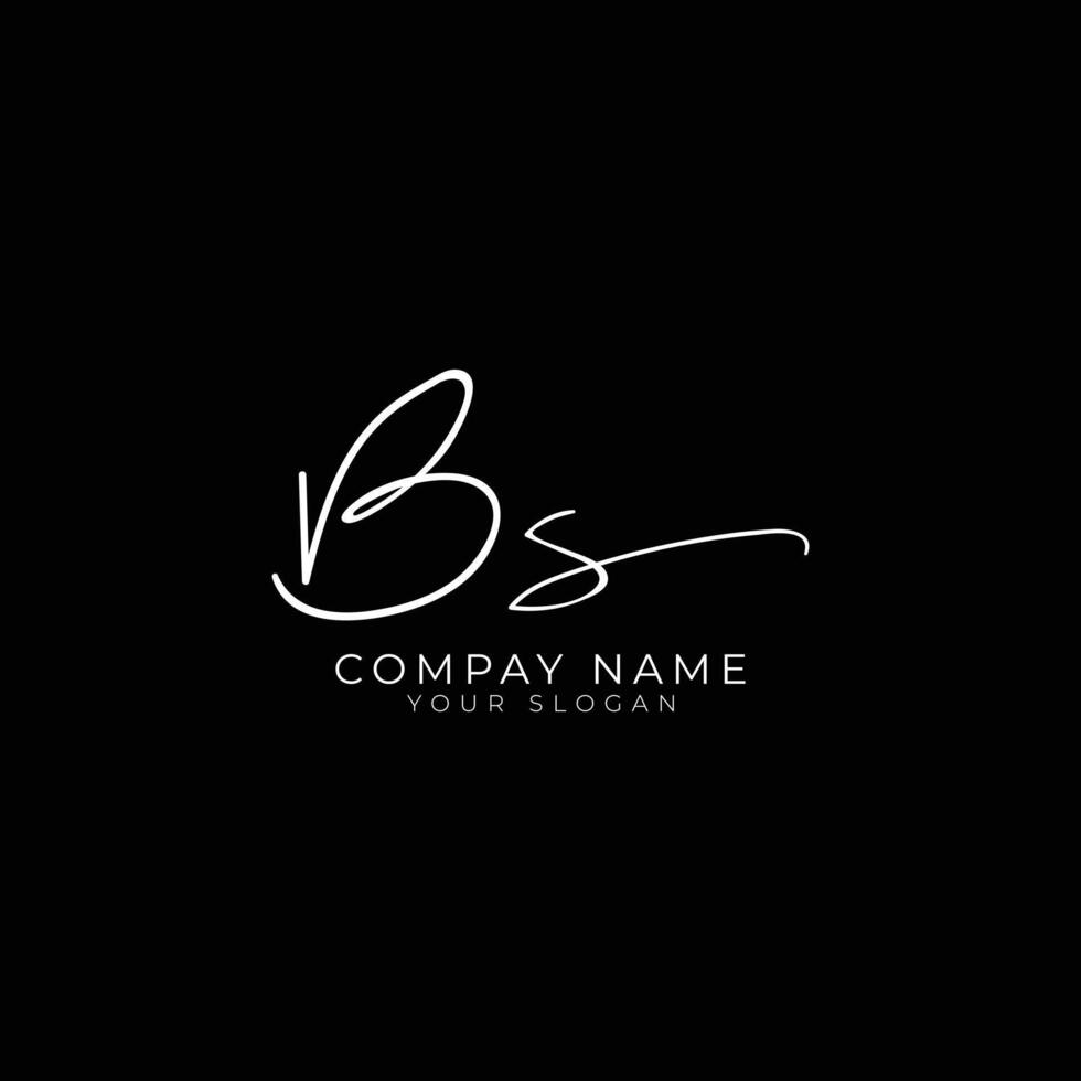 BS Initial Signature Logo. Elegant Handwritten Monogram vector