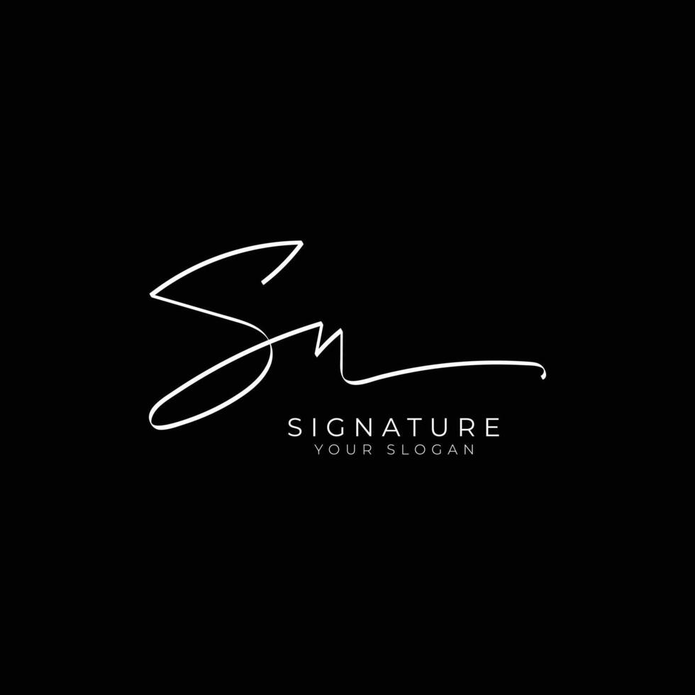 s n initial signature monogram logo design template vector