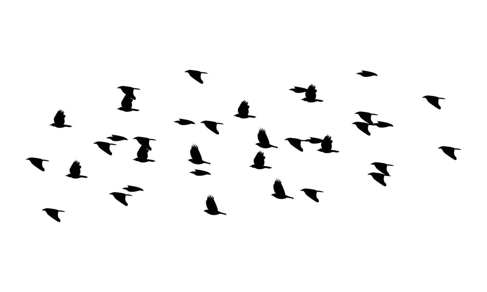 Black Flying birds silhouette And Illustration. vector