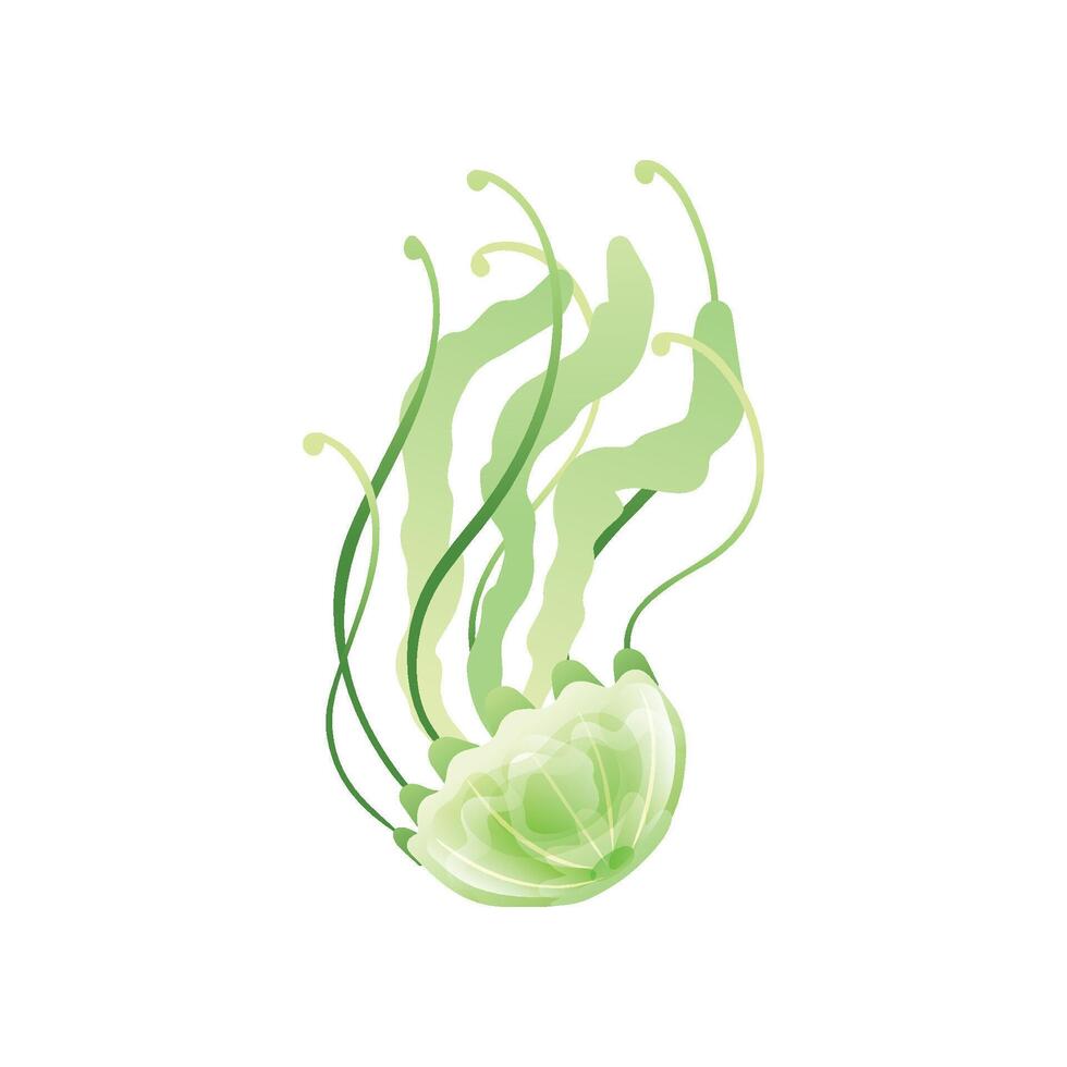 Green Jellyfish, Beautiful Swimming Marine Underwater Creature Illustration vector