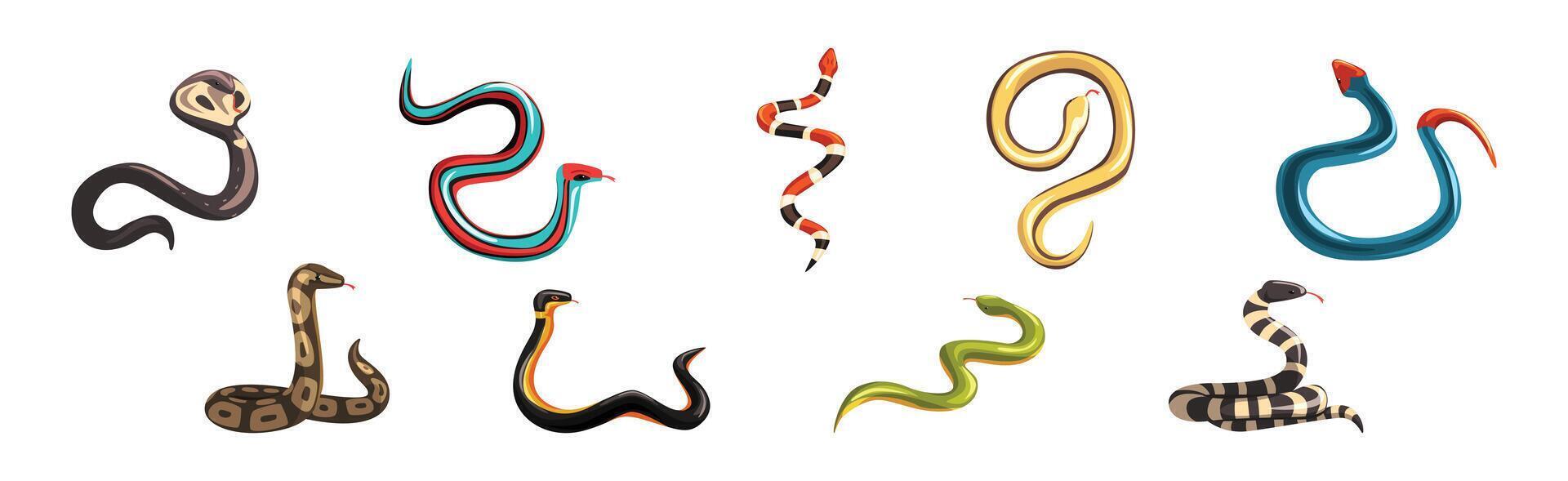Venomous Snake and Serpent of Different Type Set vector