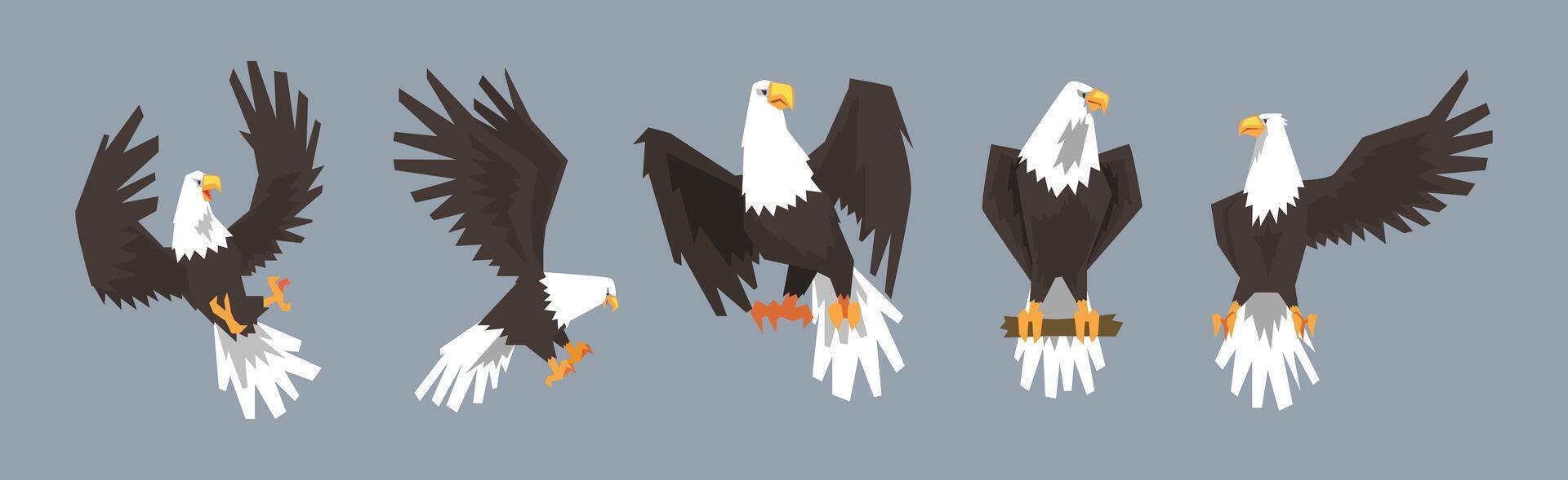 Eagle or Vulture Predatory Bird of Prey Set vector