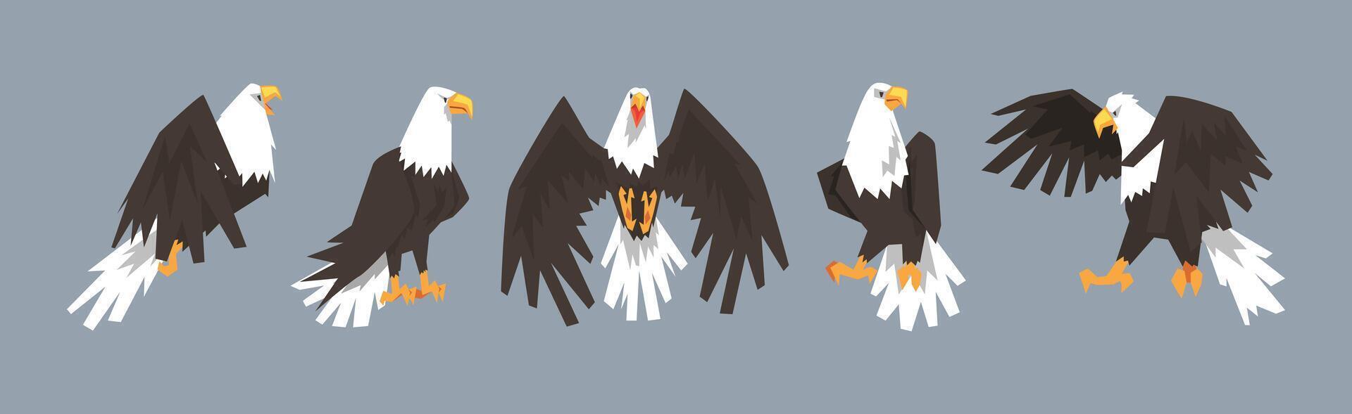 Eagle or Vulture Predatory Bird of Prey Set vector