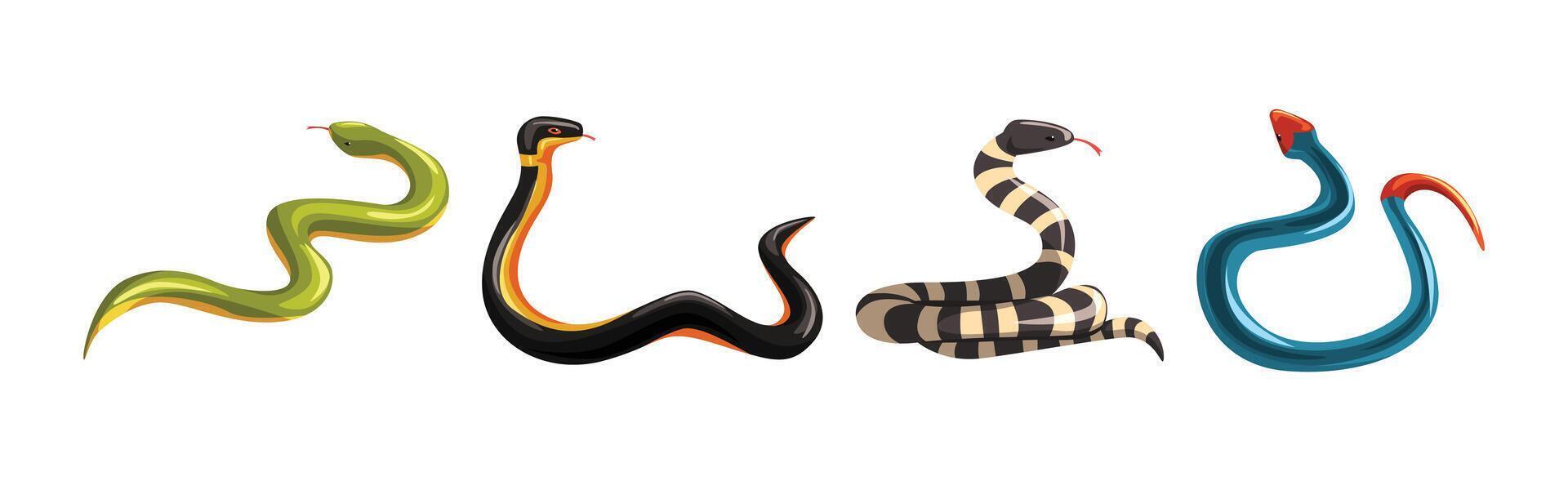 Venomous Snake and Serpent of Different Type Set vector