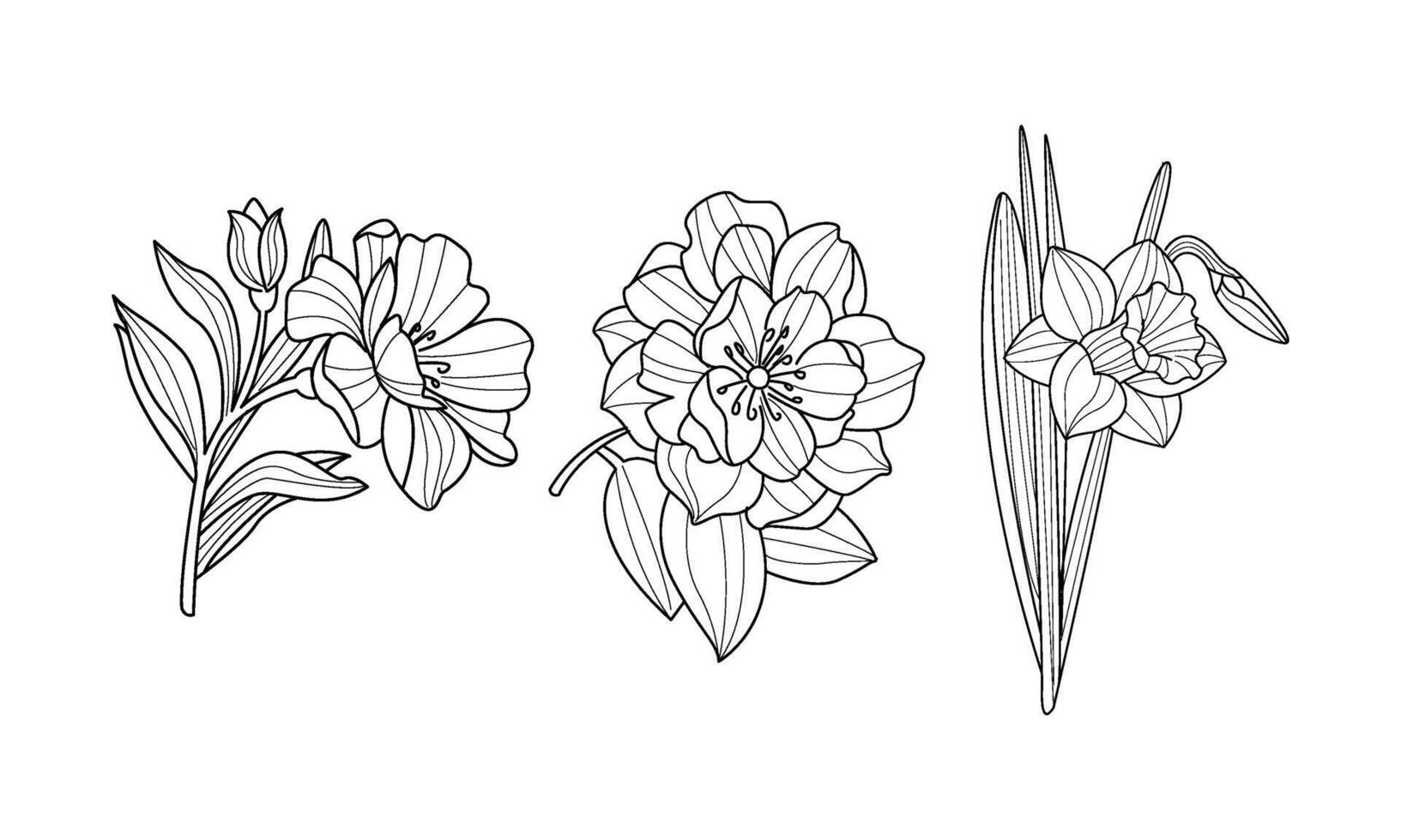 set of blooming garden flowers. Botanical drawings. Beautiful natural elements. Line art vector