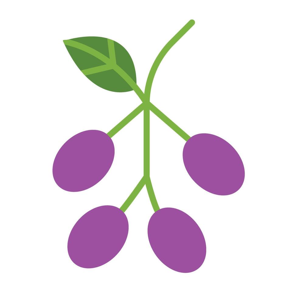 Jambolan Icon Design vector