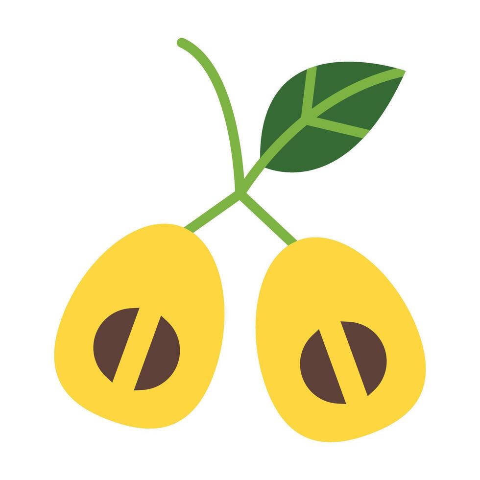 Loquat Icon Design vector