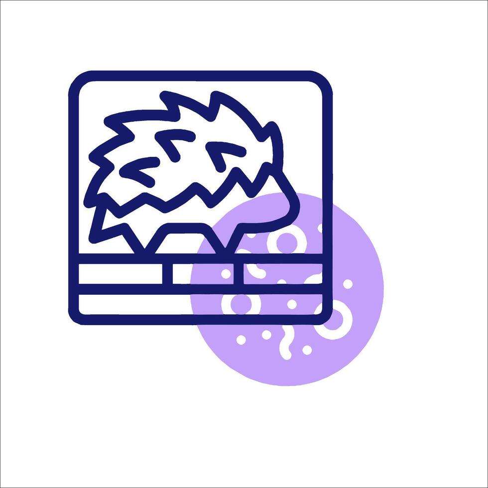 A hedgehog icon on a white background vector