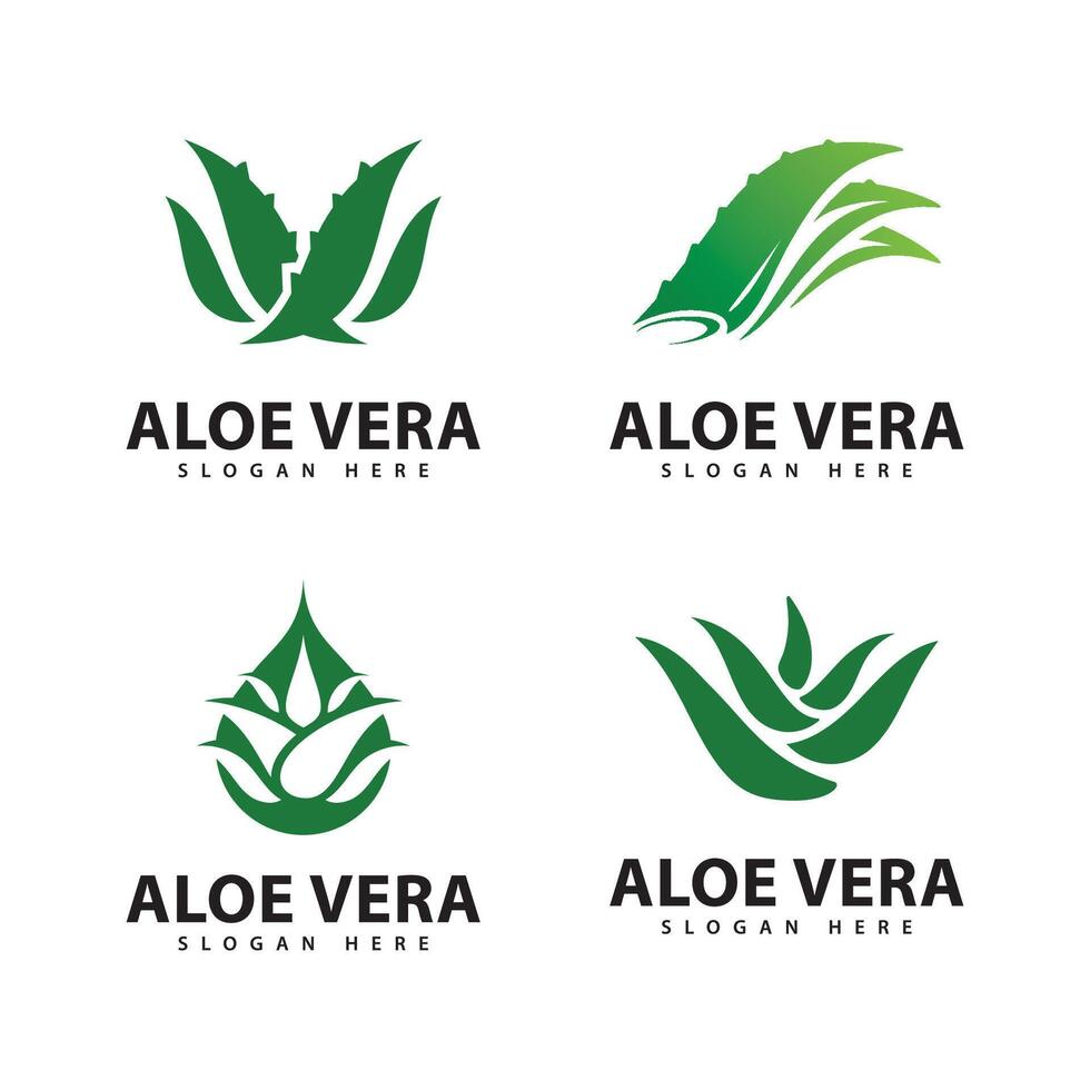 Aloe Vera Logo Design Template vector