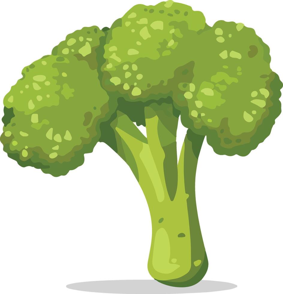 Food broccoli icon Cartoon of food broccoli icon for web design isolated on white background vector