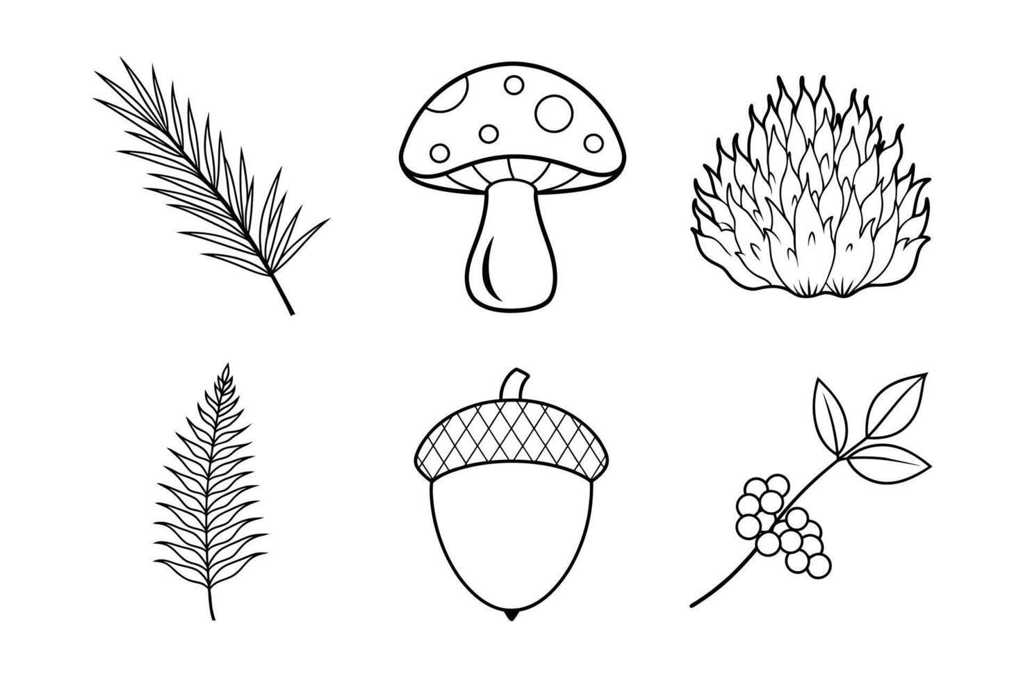 Forest Floor Elements Line Art Bundle vector