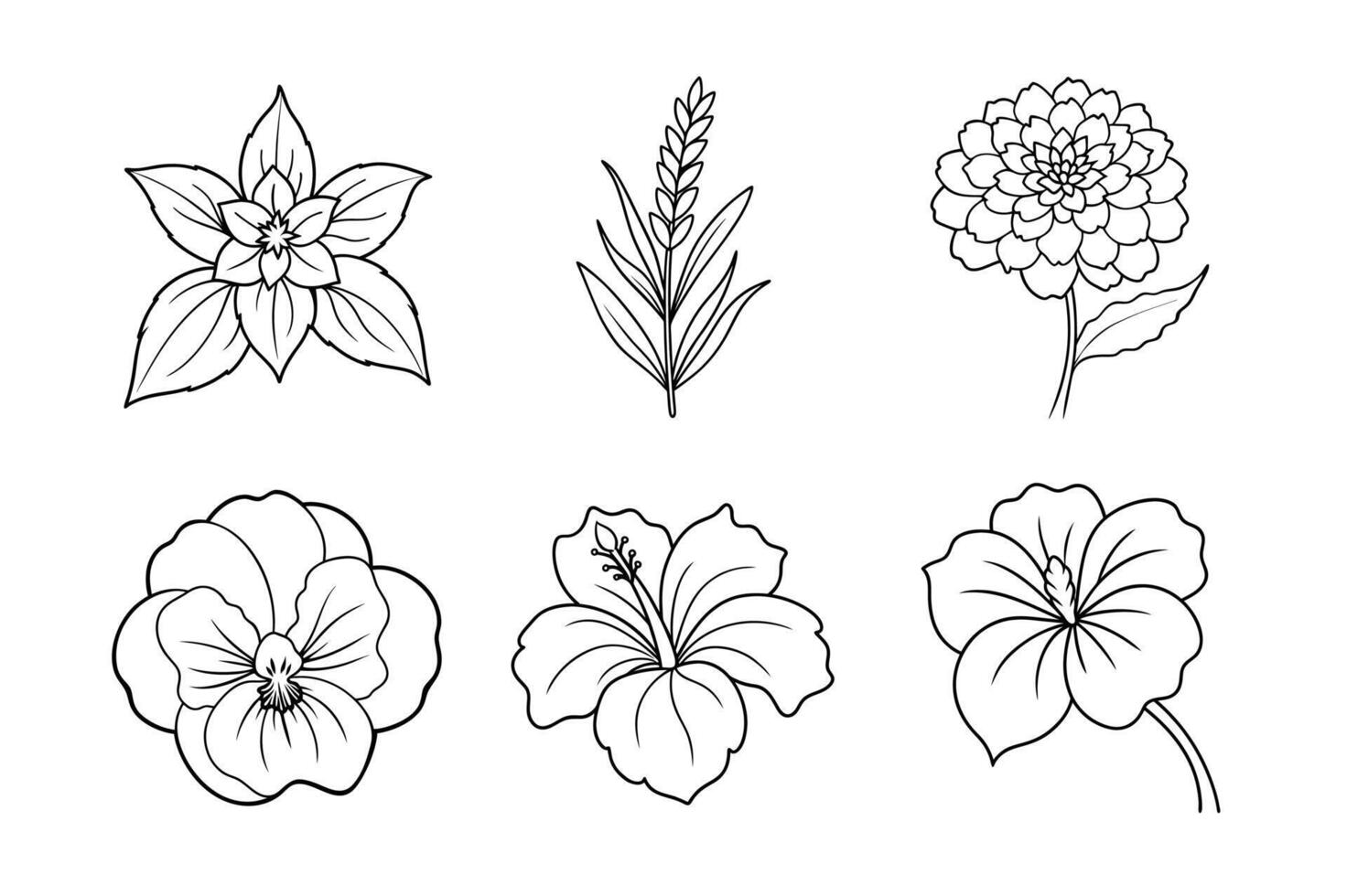 Edible Flowers Line Art Bundle Nasturtium, Hibiscus, Pansy, Lavender, Marigold, and Borage vector