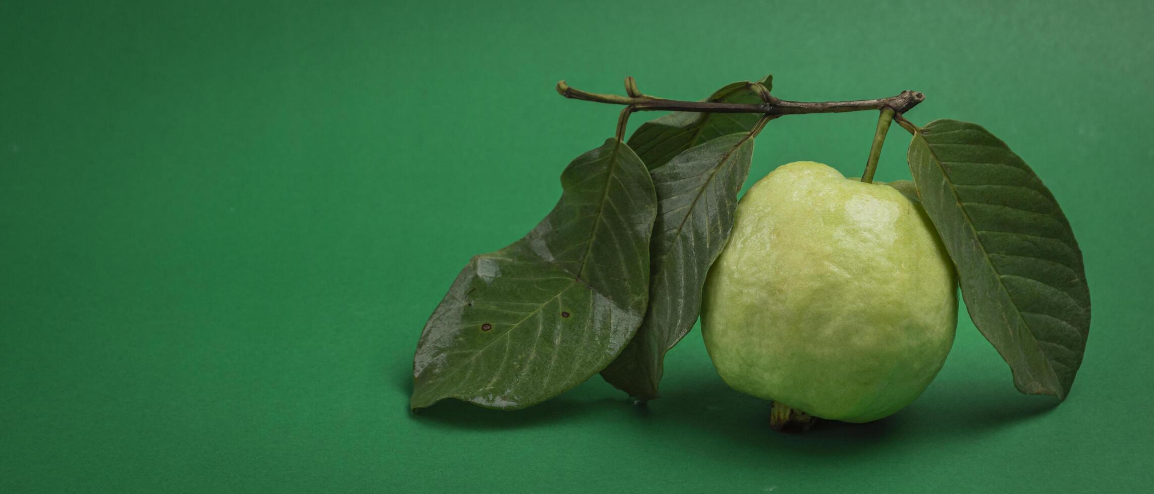 a guava fruit with leaves on a green background photo