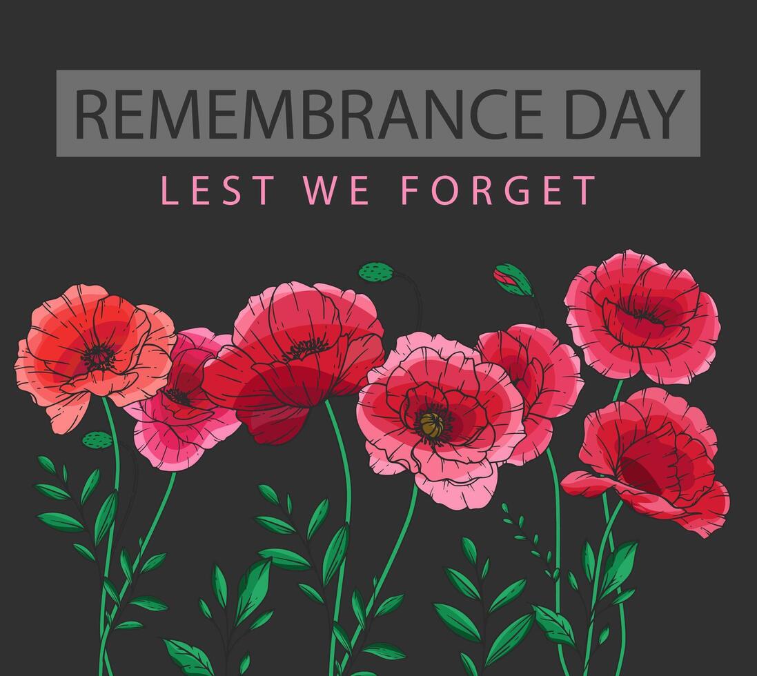 Red Poppies Illustration. Remembrance day banner template design. Lest we Forget.Poppy Flower Illustration. Red Poppies. Botanical Background. Hand drawn floral background template. Poppy Bouquet. vector