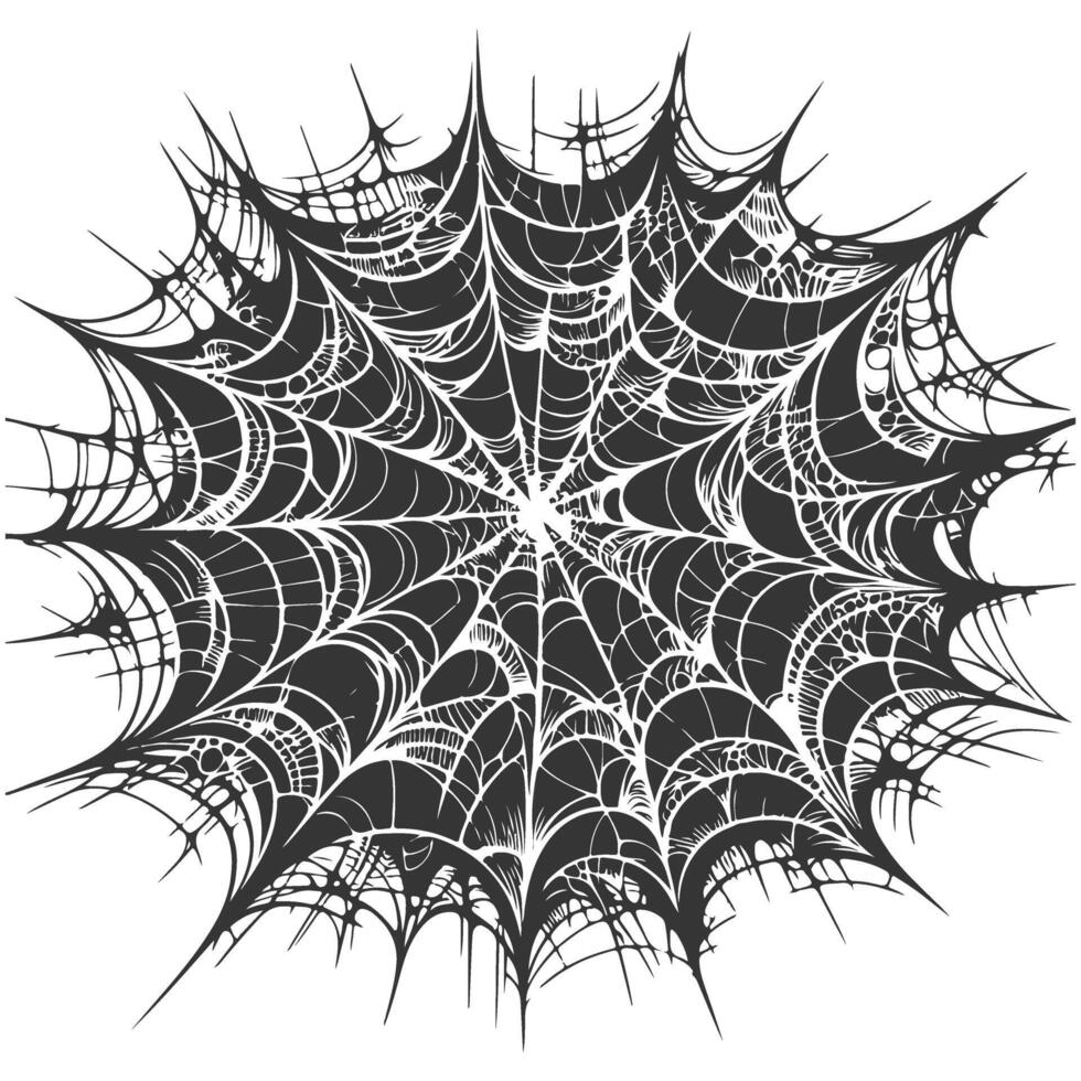 A spider web with black and white lines vector