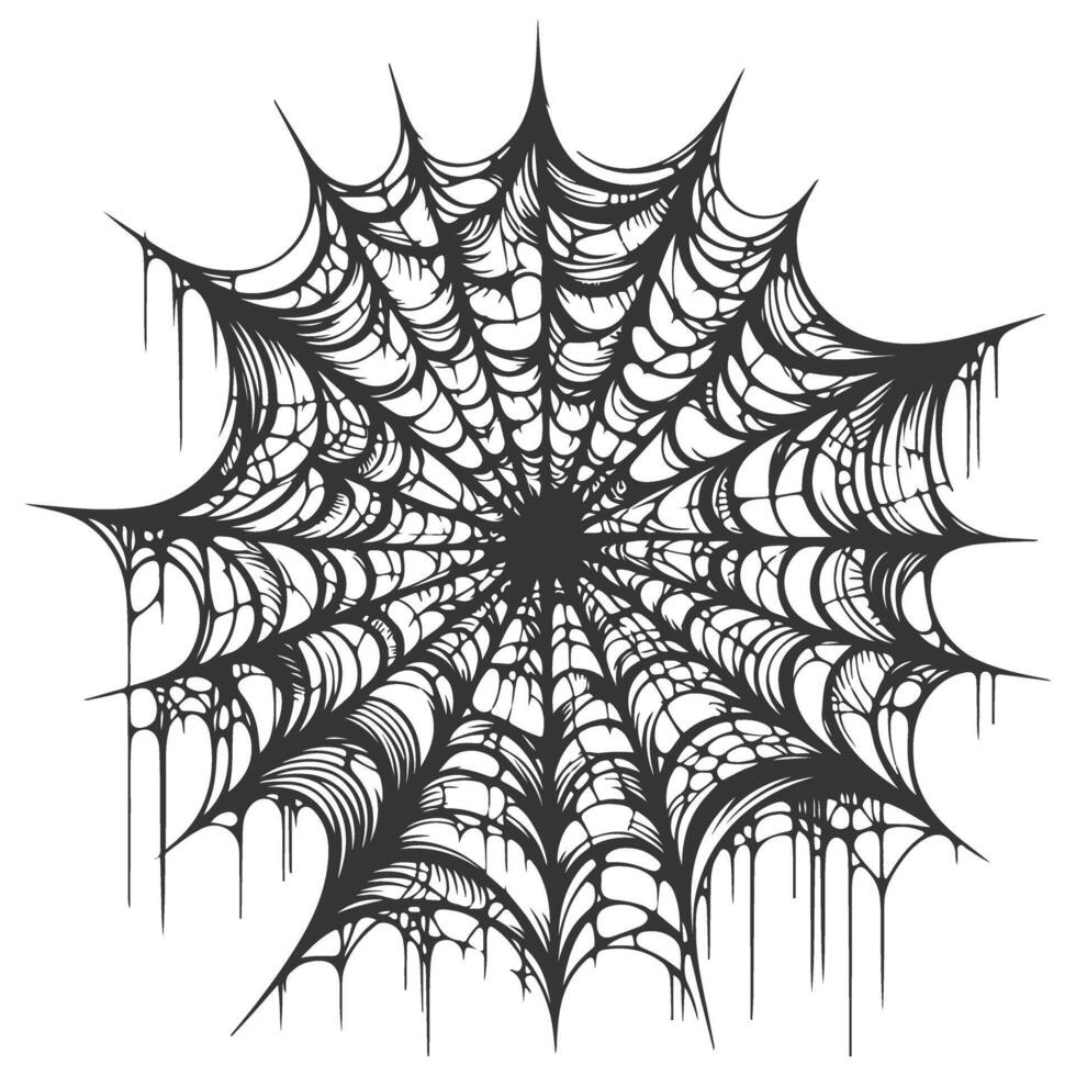 Spider web with dripping paint vector