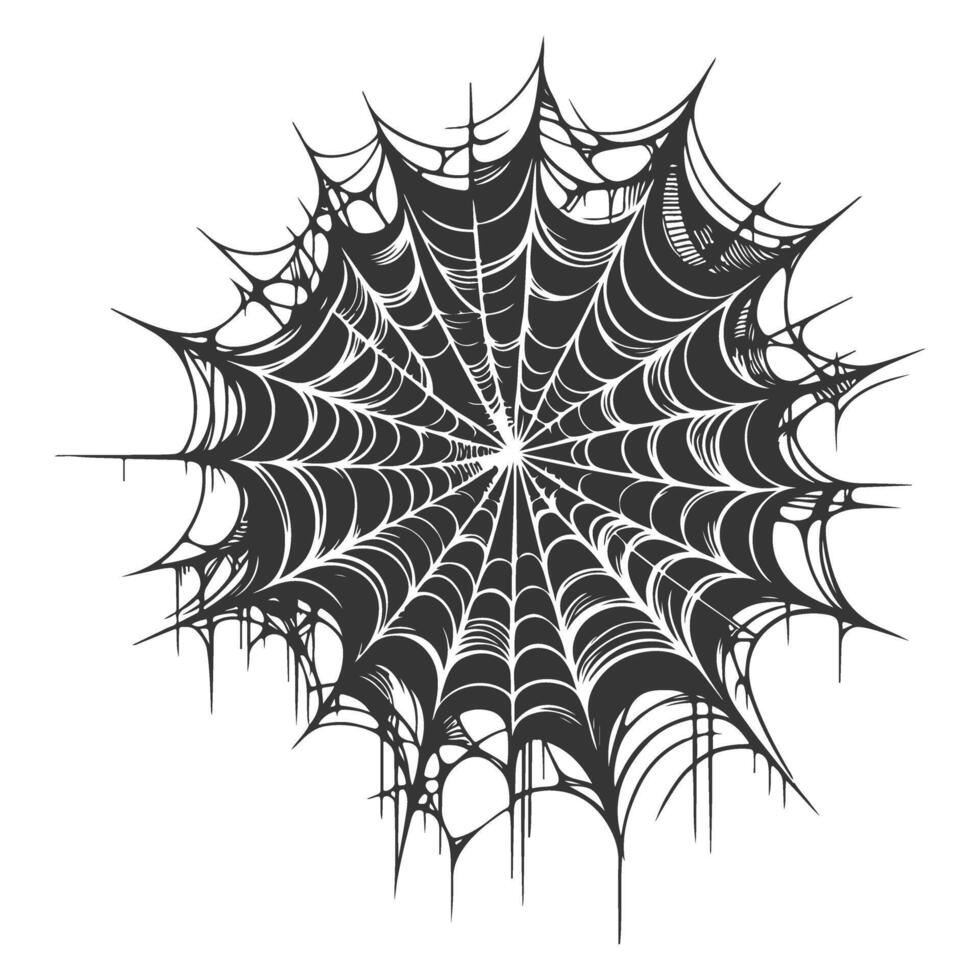 Hand drawn cobweb design collection vector