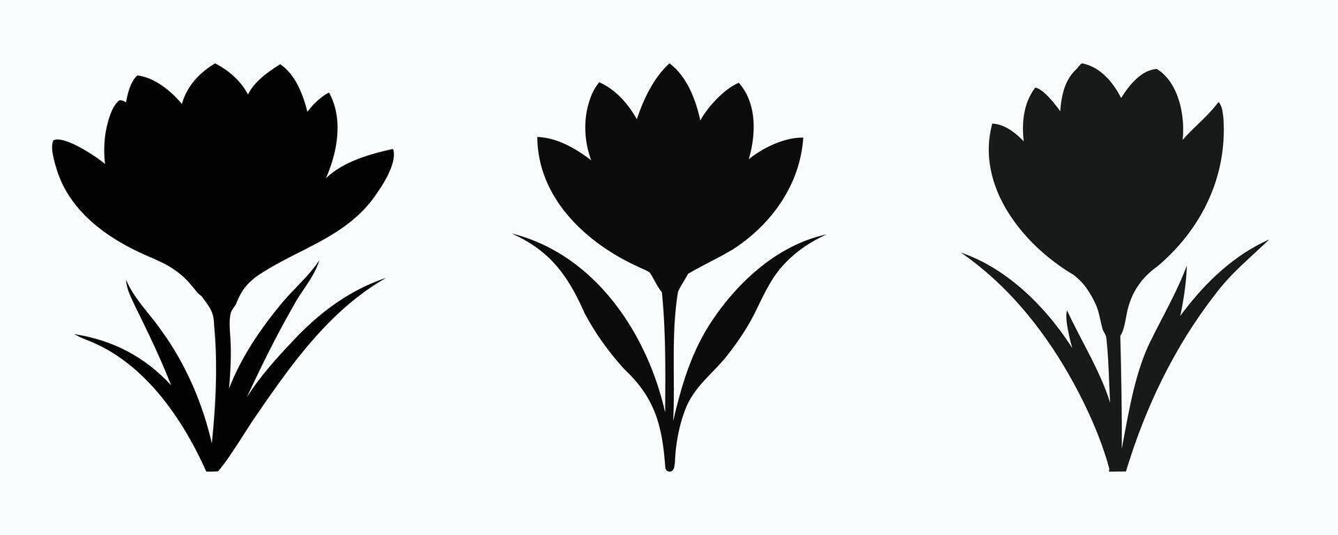 Crocus Silhouette Bundle Illustration vector