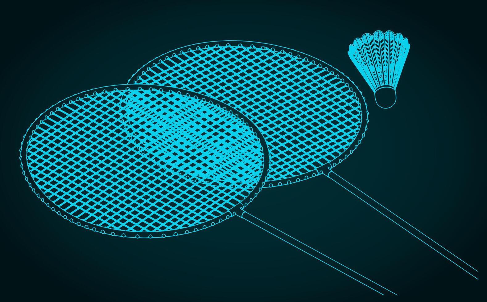 Rackets and shuttlecock close up vector
