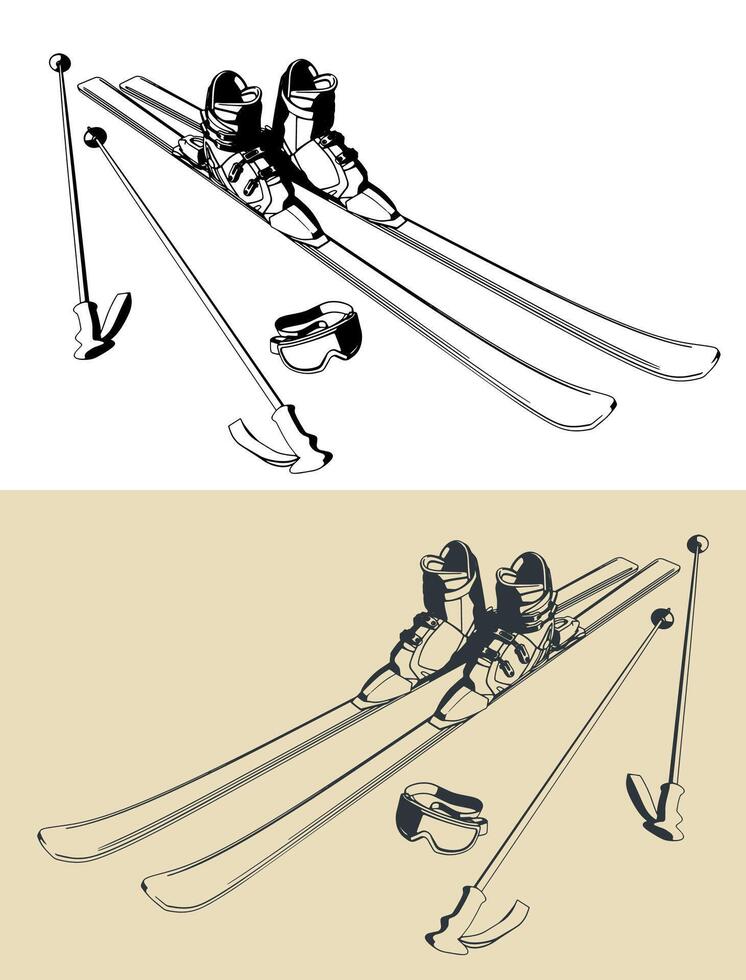 Skiing equipment set vector