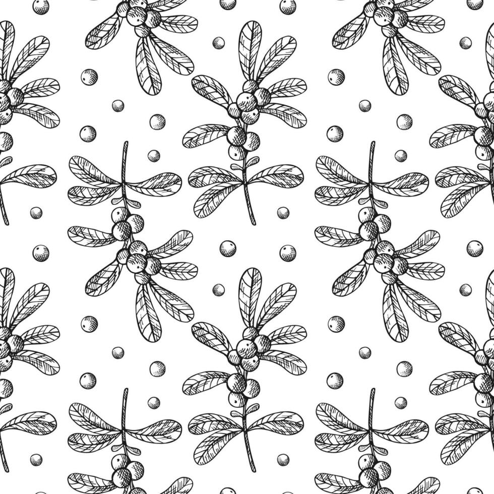 Hand drawn seamless pattern with Cranberry. Engraving repeating background with northern cranberry plant, berries, branch, fruits. Floral motif for design label, card, print, wrapping, paper vector