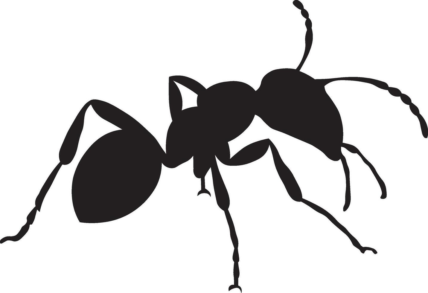 An ant icon. Top view of black ant silhouette on white background. Ant icon illustration vector