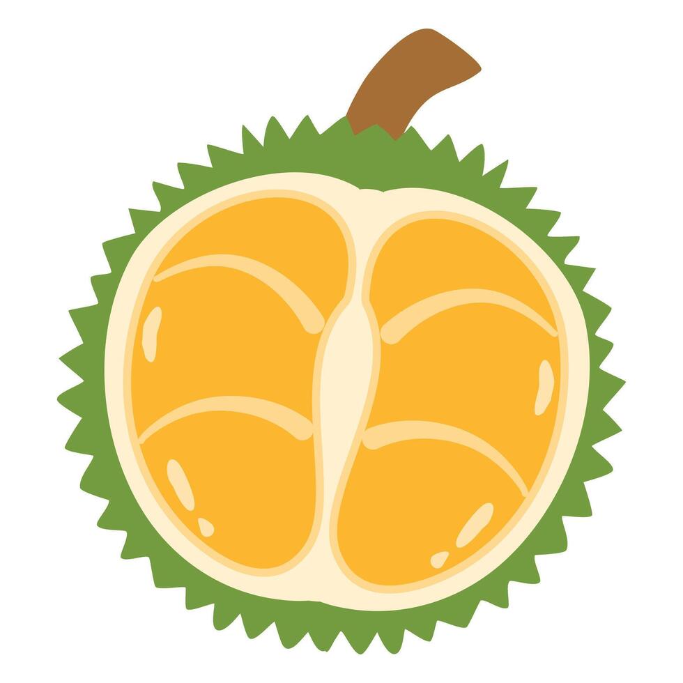 durian king fruit of Thailand vector