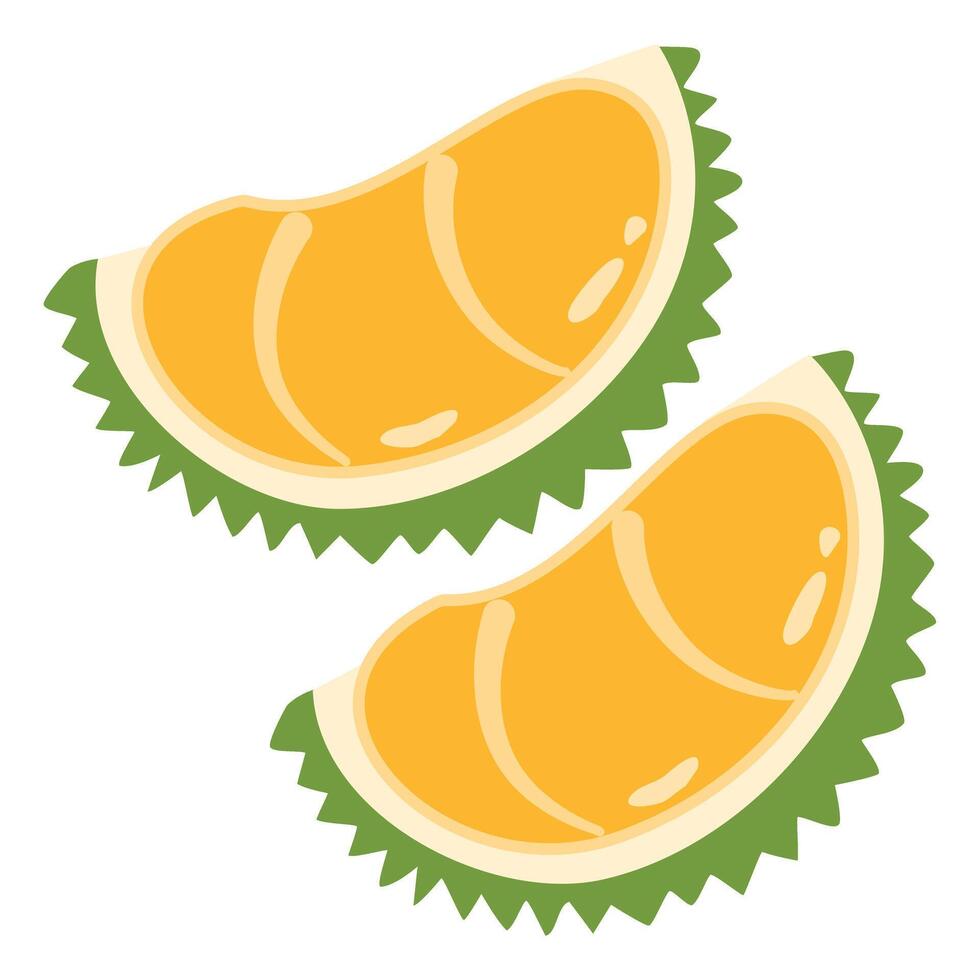 Durian is a king of fruit, asian fruit vector