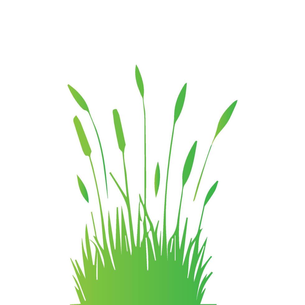 grass designs isolated on white background vector