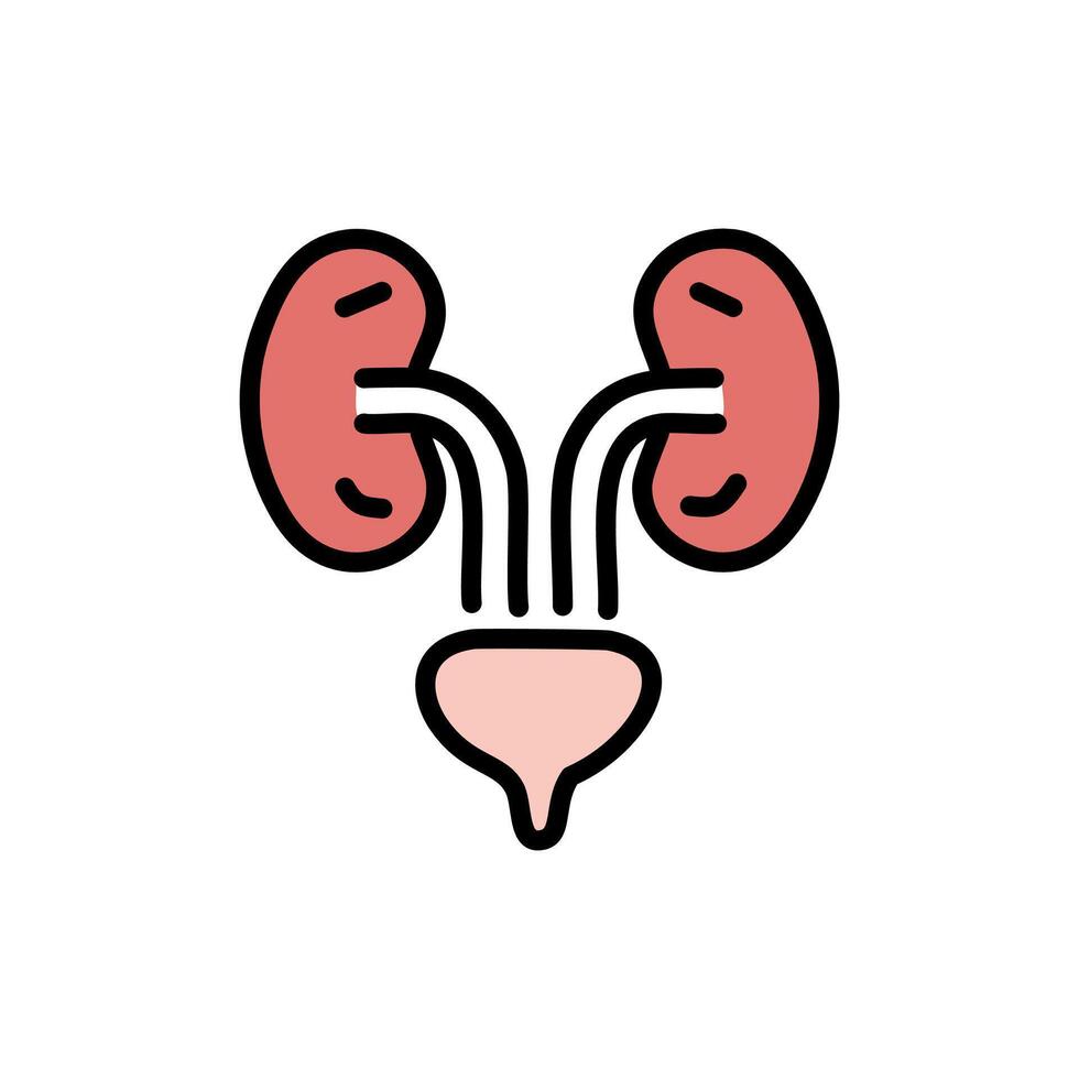 Urology color icon. Medical and healthcare illustration in flat style. vector