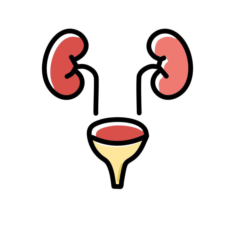 Urology color icon illustration vector