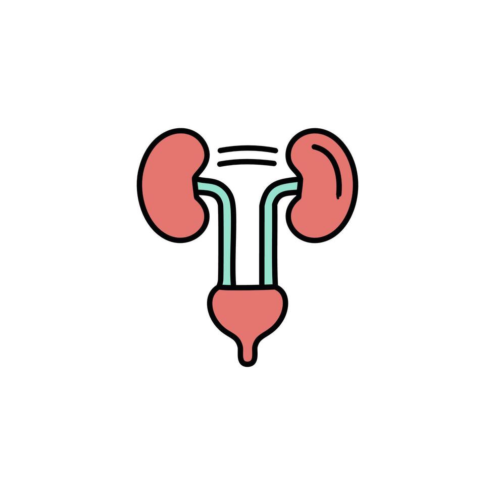 Urology color icon illustration vector