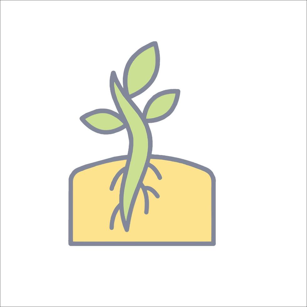 A plant growing out of a seed icon vector