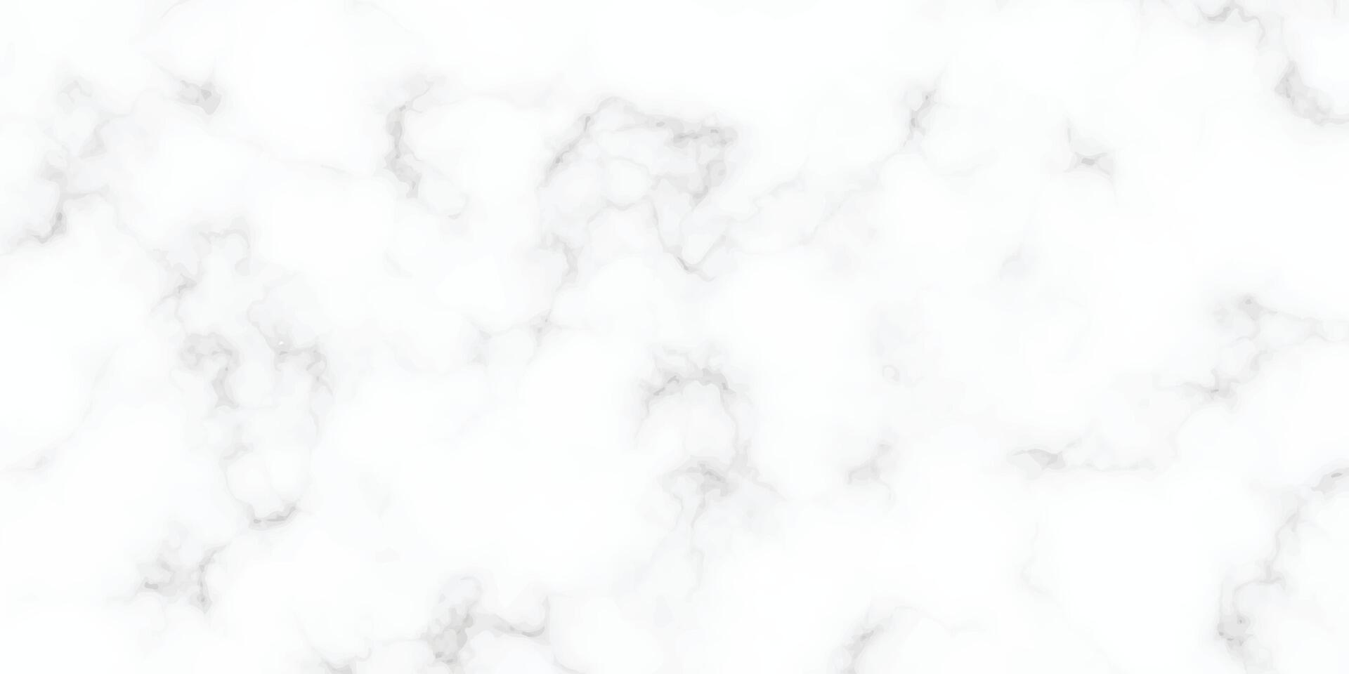 White marble pattern texture for background. Natural patterns for design art work, Stone wall texture background. Seamless pattern of tile stone with bright and luxury. White Carrara marble stone text vector