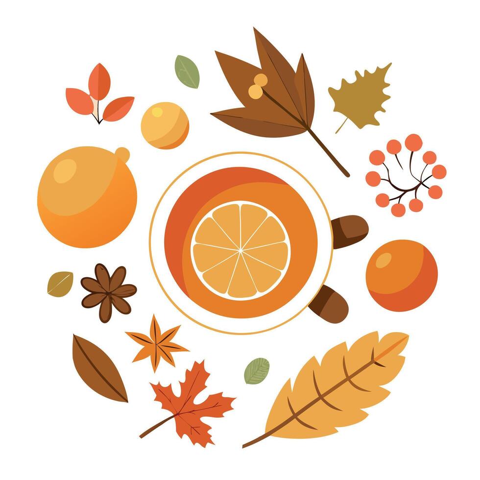 Autumn leaves and orange tea vector