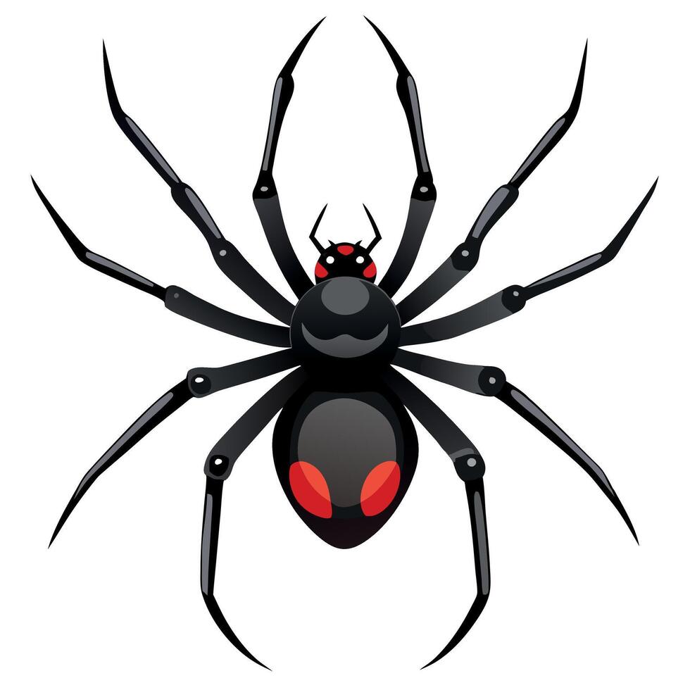 Black widow spider clipart vector
