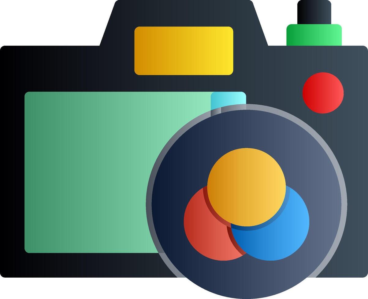 Camera Filter Flat Gradient Icon vector