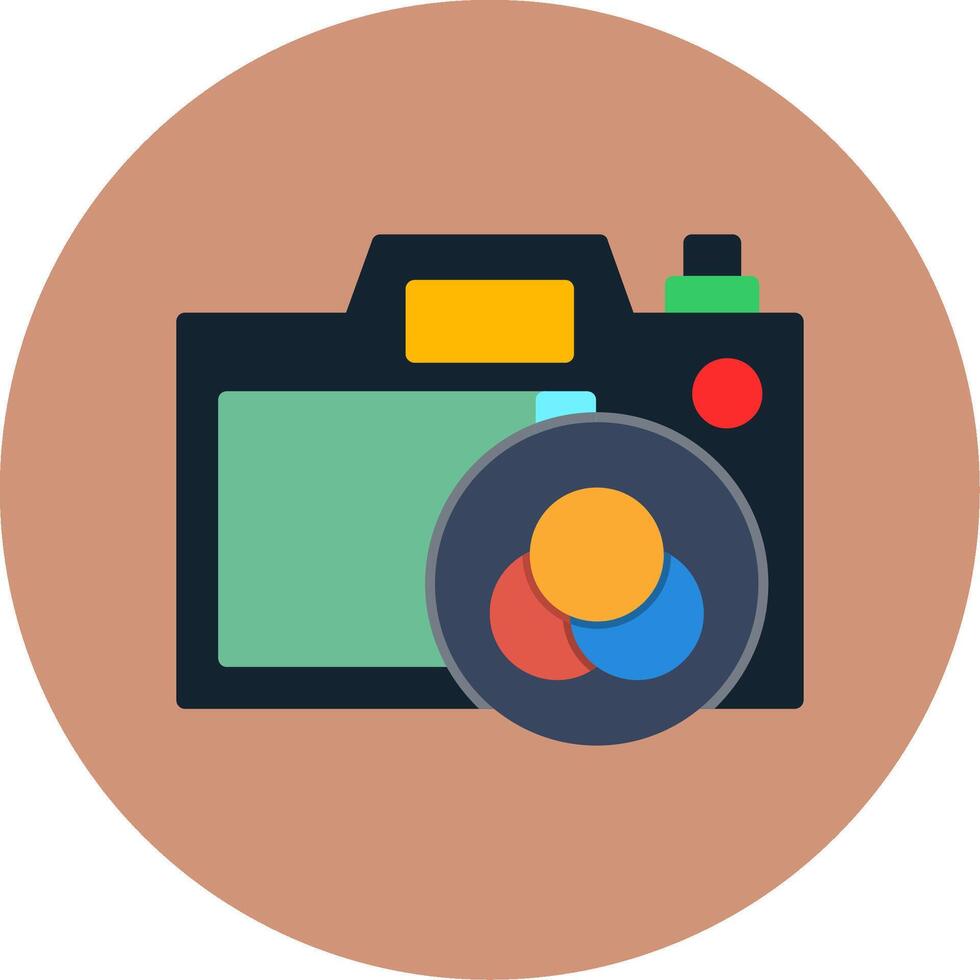 Camera Filter Flat Multi Color Icon vector