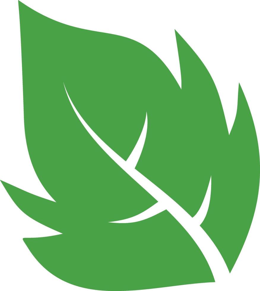 A green leaf logo on a white background vector