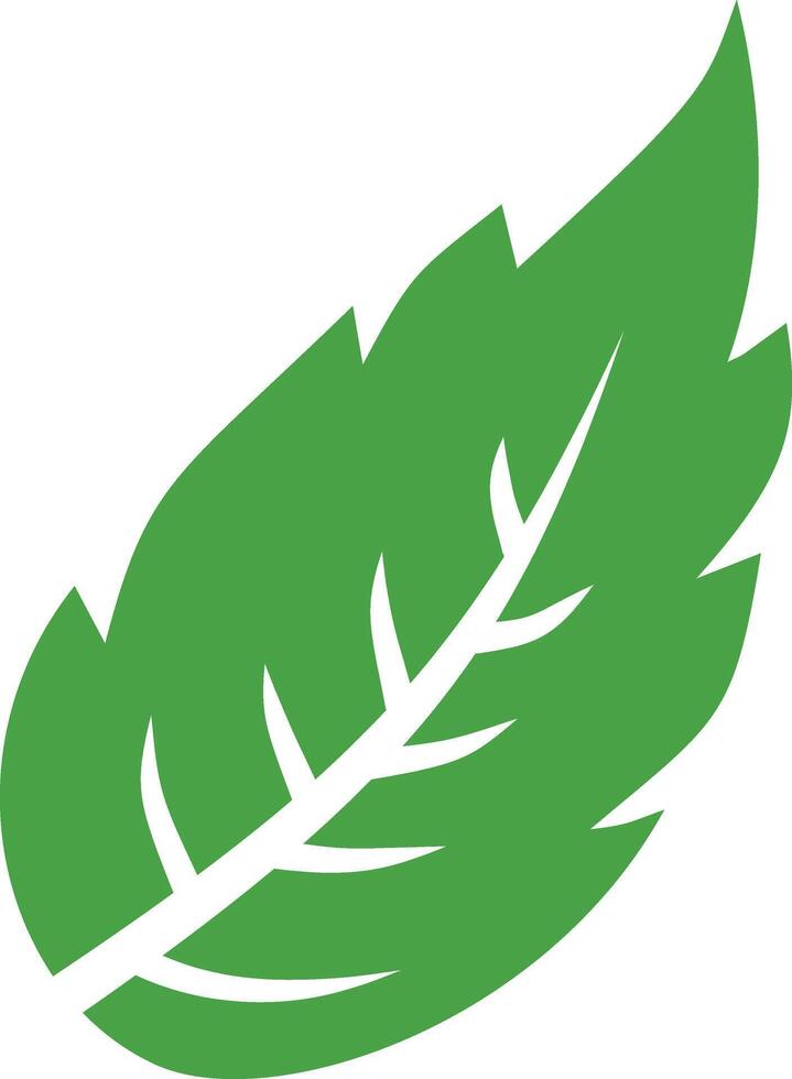 A green leaf icon on a white background vector